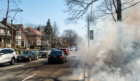 Parts of High Park off limits today as crews conduct controlled burns